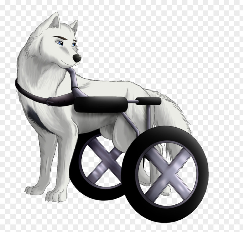 Charles Xavier Dog Technology Wheel PNG