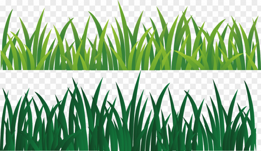 Green Grass Ribbon PNG