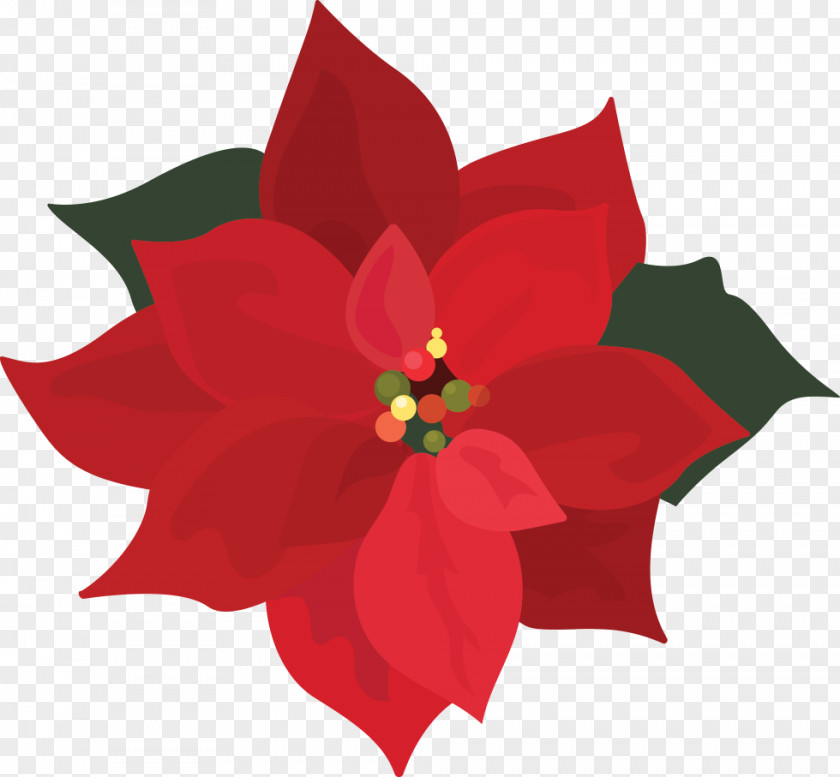 Single Poinsetta Clip Art Poinsettia Openclipart Free Content PNG