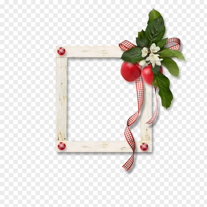 Apple Cinnamon Picture Frames PNG