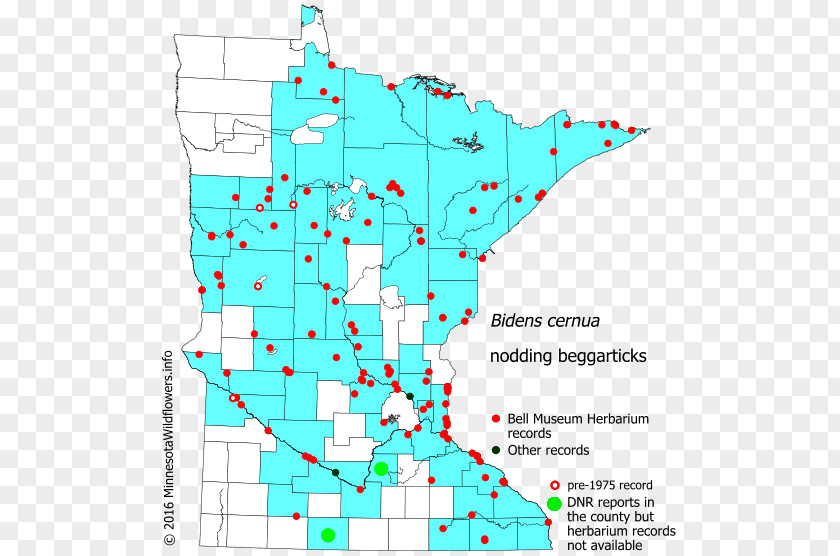 Line Point Map Organism Tuberculosis PNG