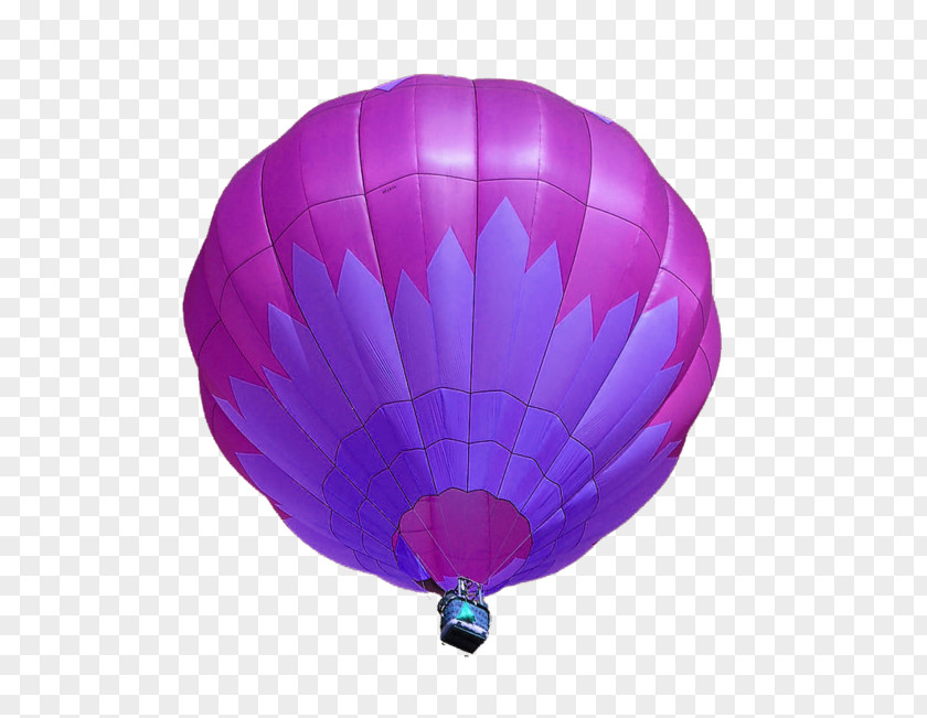 Purple Balloon Vecteur PNG