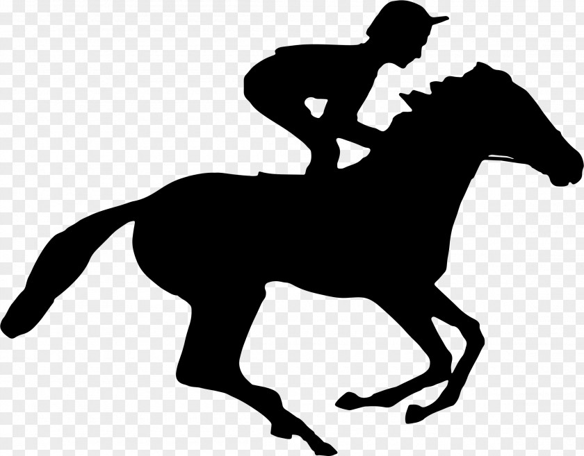 Rodeo Cowboy Horse Cartoon PNG