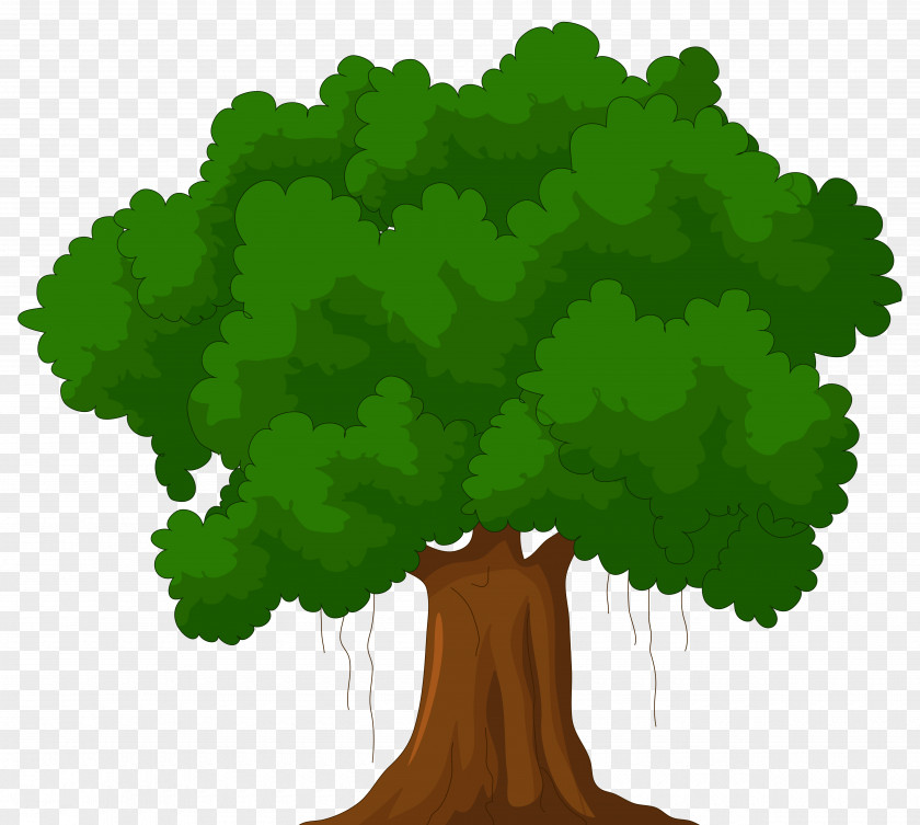 Tree Clip Art Cartoon Green PNG