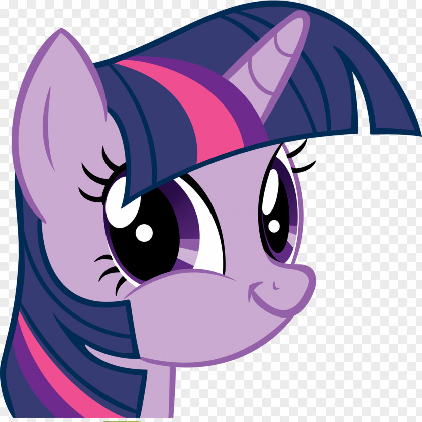 Twilight Sparkle Pinkie Pie Pony Animation PNG