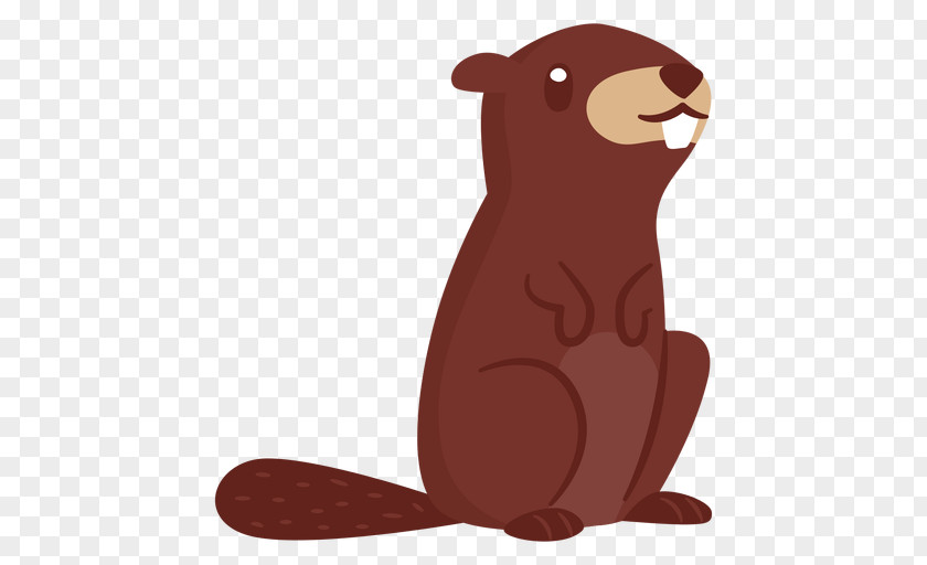 Beaver Illustration Image Cartoon Drawing PNG