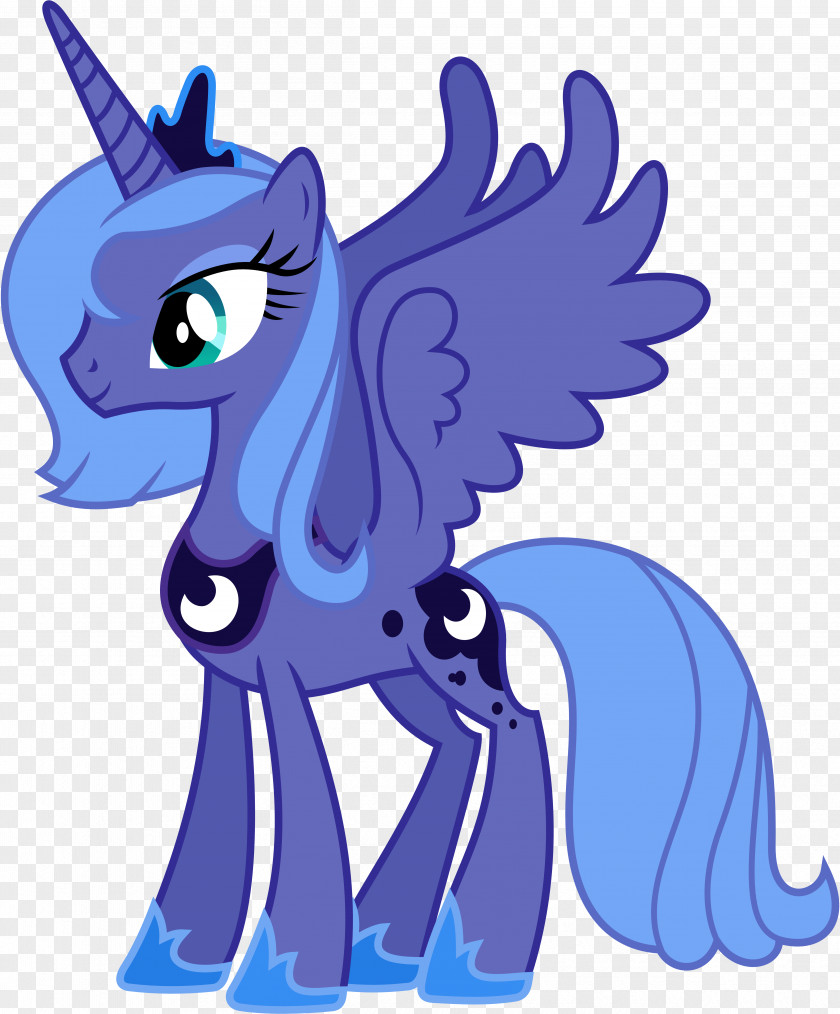 Ben Vector Princess Luna Pony Celestia Pinkie Pie Twilight Sparkle PNG