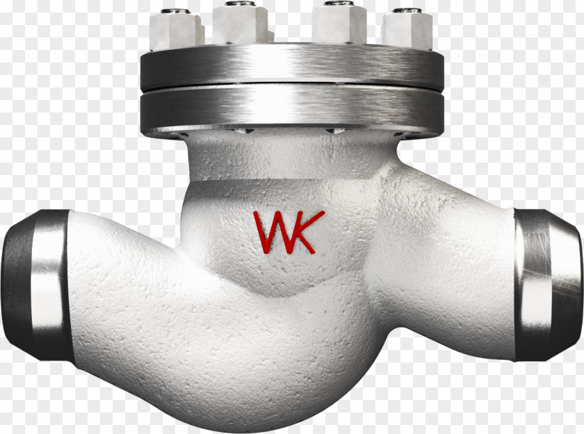 Check Valve Angle PNG