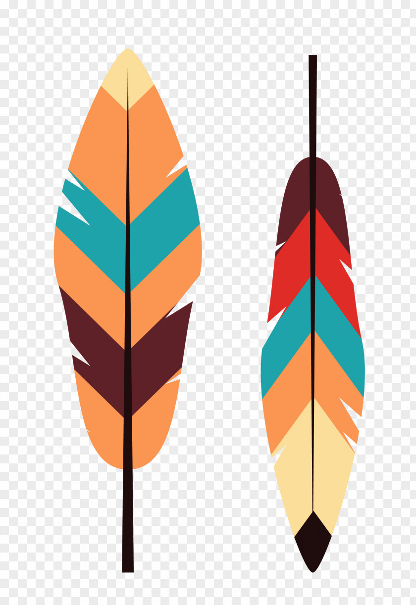 Feather Image Design Vector Graphics PNG
