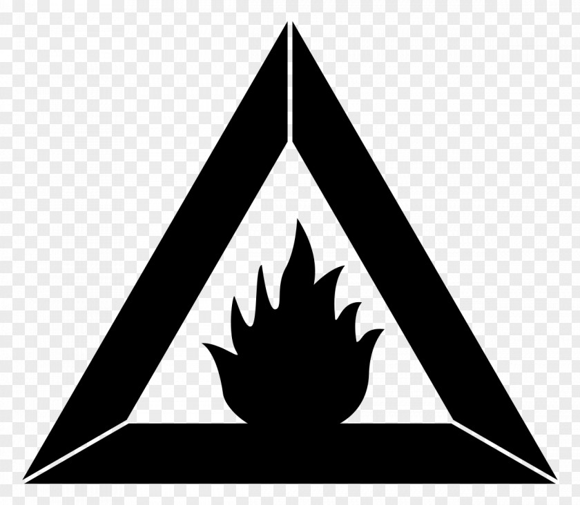 Fire Extinguishers Combustion Flame Triangle PNG