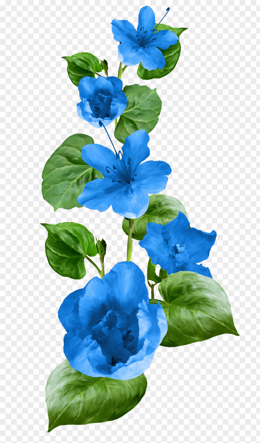 Flower Blue Author Clip Art PNG