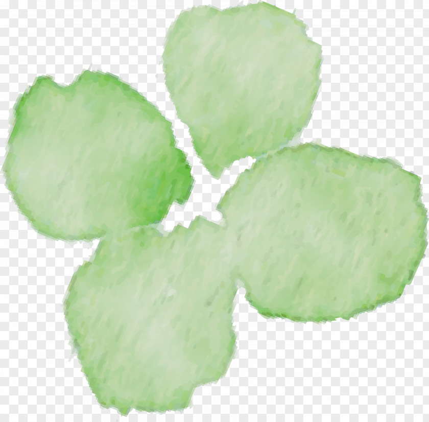 Green Leaf Petal Plant Flower PNG