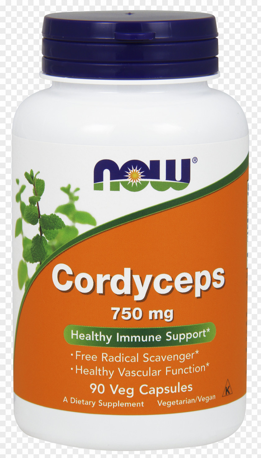 Health Dietary Supplement Cordyceps Food Capsule Herb PNG