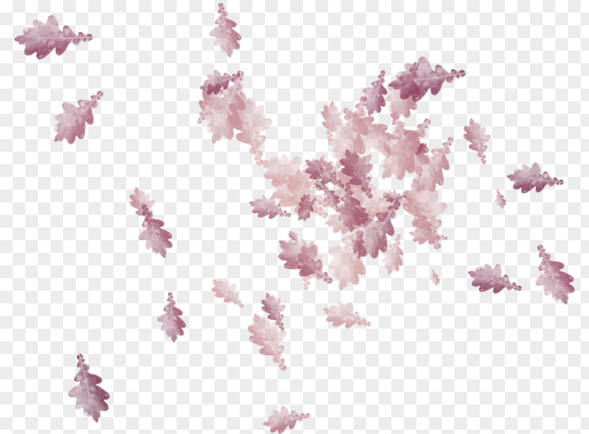 Leaf Petal PNG