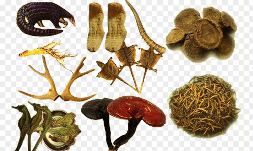 Tibetan Herbs Traditional Medicine Chinese PNG