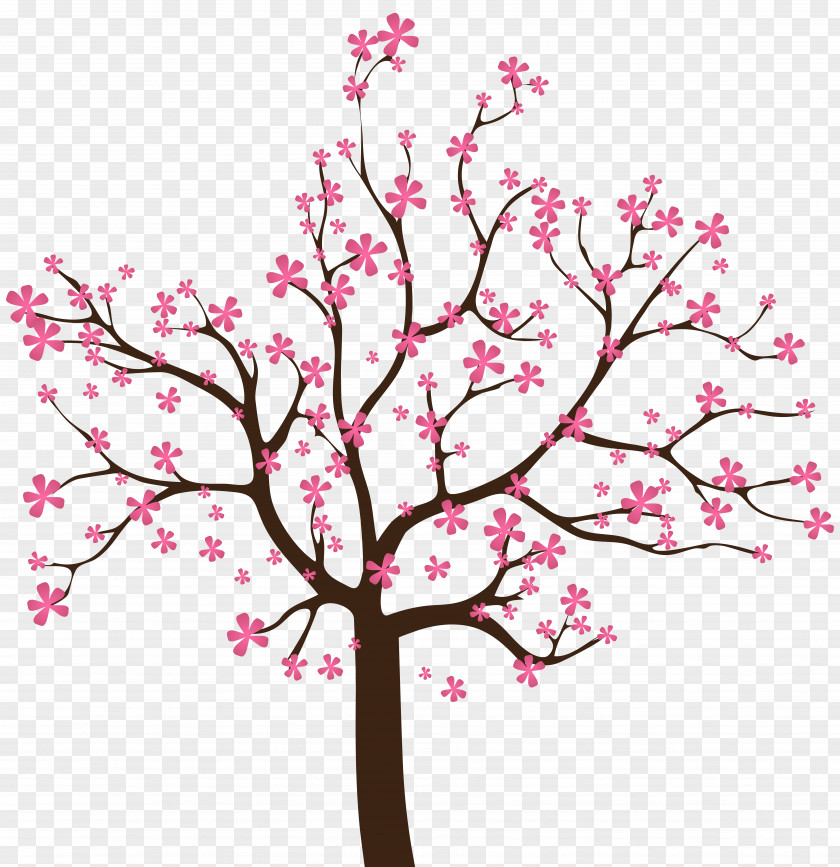 Cherry Blossom Spring Tree Clip Art PNG