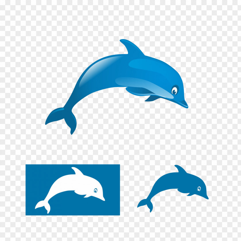 Dolphin Logo Illustration PNG