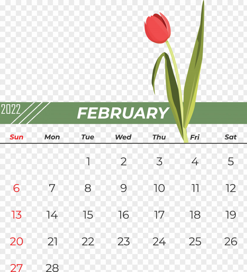 Logo Font Calendar Line Green PNG