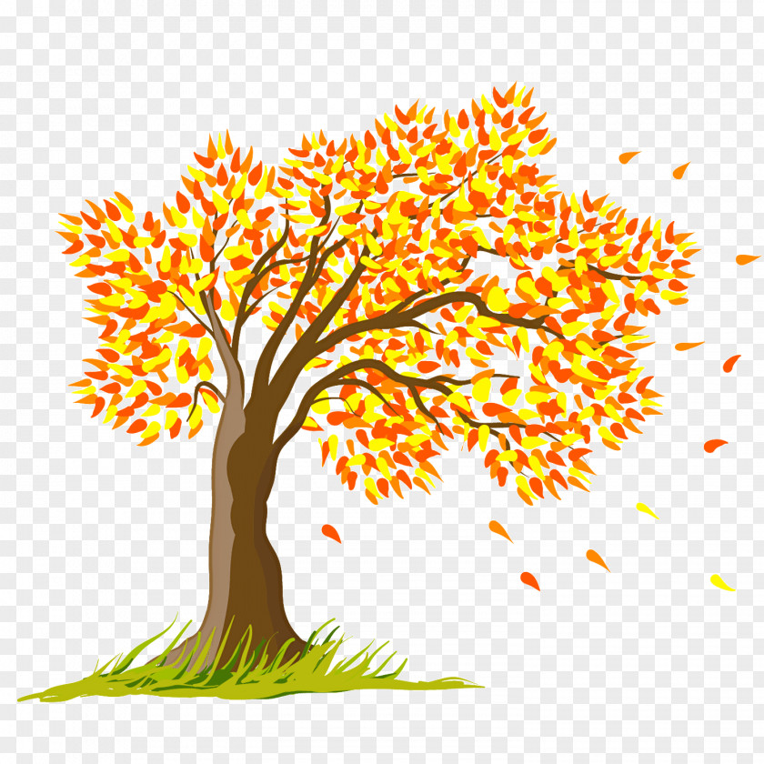 Plant Stem Autumn Tree Woody Yellow Leaf PNG