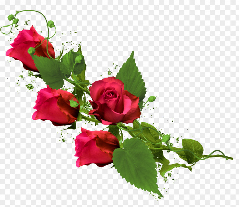 Red Rose Garden Roses Flower Clip Art PNG