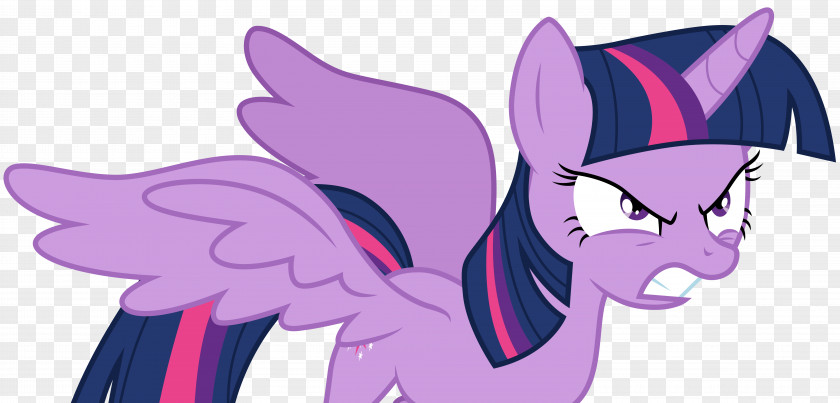 Twilight Sparkle Princess Celestia Pony Spike Pinkie Pie PNG