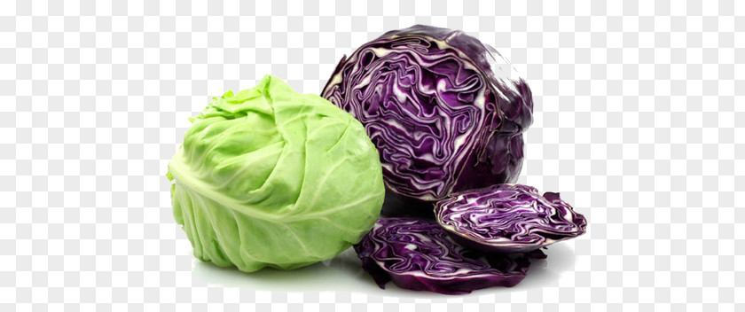 Vegetable Capitata Group Savoy Cabbage Red Leaf Food PNG