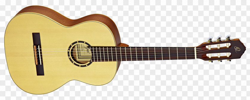 Amancio Ortega Classical Guitar Fingerboard Nut Steel-string Acoustic PNG