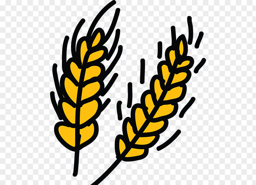 Cartoon Wheat Yellow Drawing Clip Art PNG