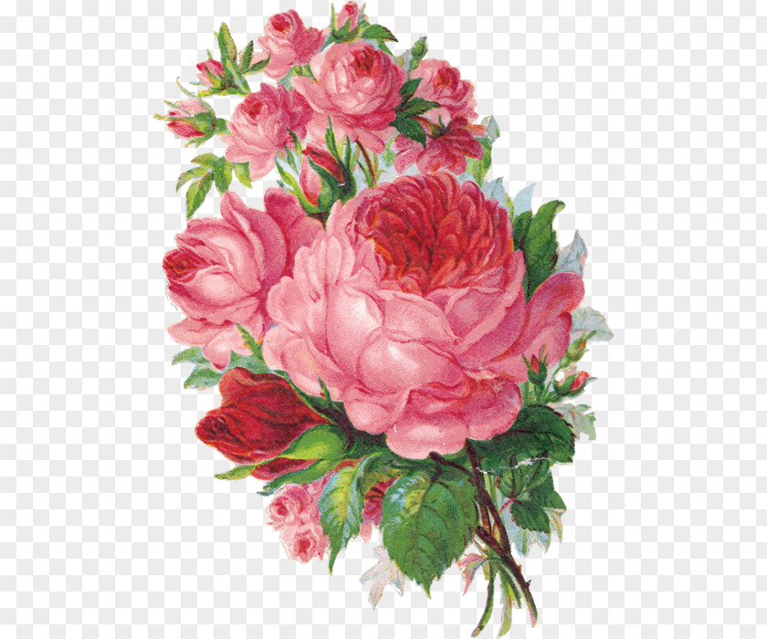 Flower Watercolor Painting Rose Floristry PNG