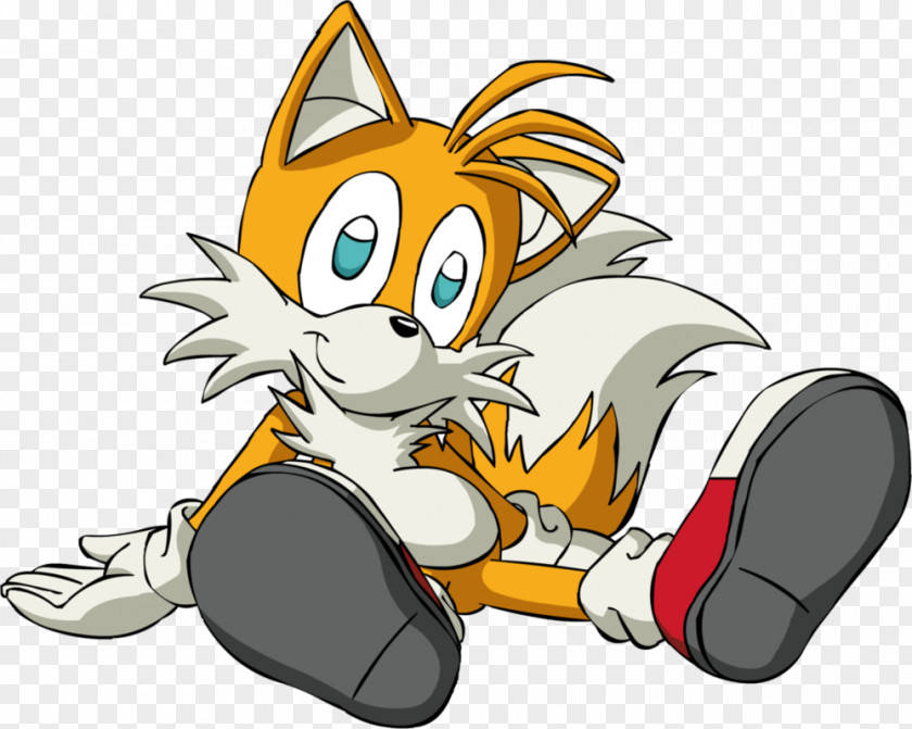 Fox Head Tails Cream The Rabbit Ariciul Sonic Shadow Hedgehog Amy Rose PNG