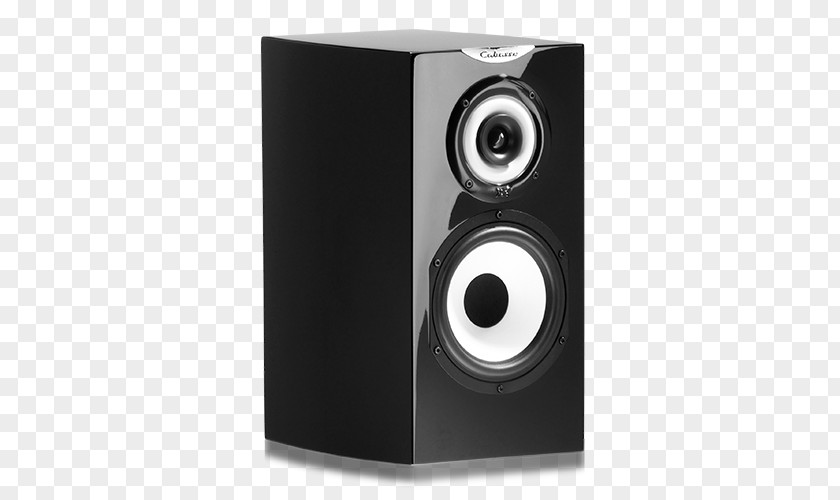 Pencils Computer Speakers Subwoofer Studio Monitor CABASSE Minorca MC40 6.5