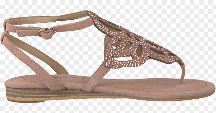 Sandal Wedge Blue Pink Slip-on Shoe PNG