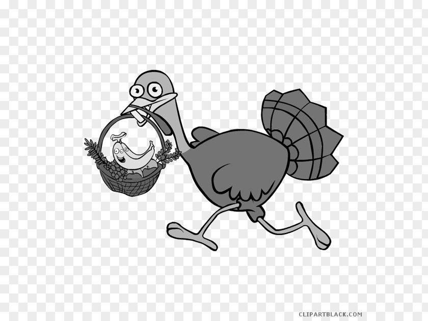 Thanksgiving Clip Art Domesticated Turkey Meat Trot PNG