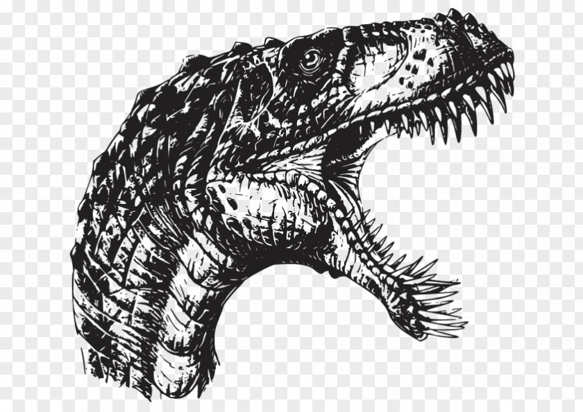 Vector Crocodile Velociraptor Masiakasaurus Spinosaurus Deinonychus PNG