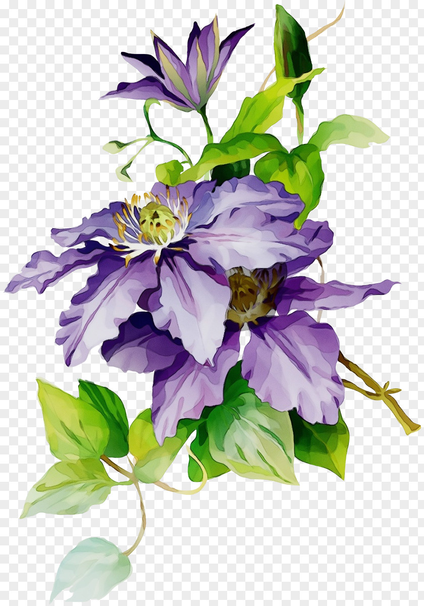 Bouquet Lavender PNG
