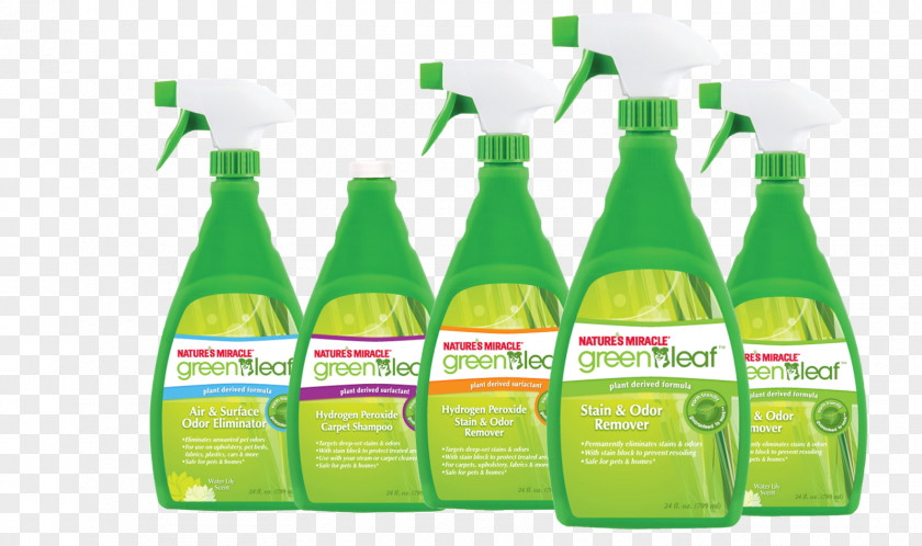 Clean Cleaning Agent Environmentally Friendly Green Pet PNG