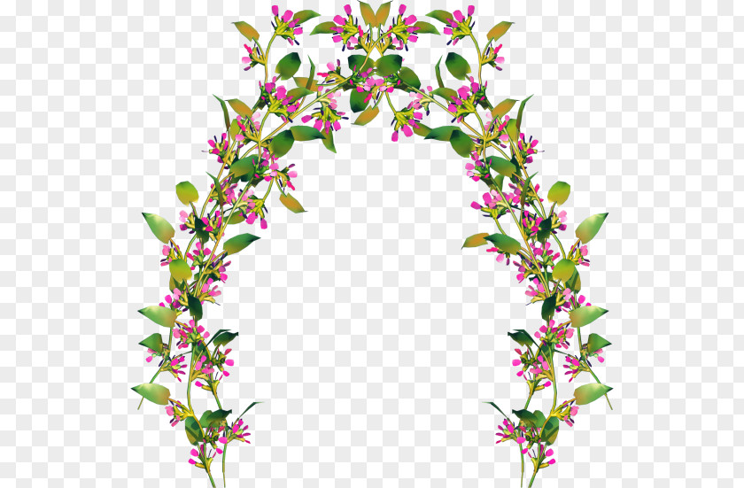 Flower Floral Design Centerblog Cut Flowers PNG