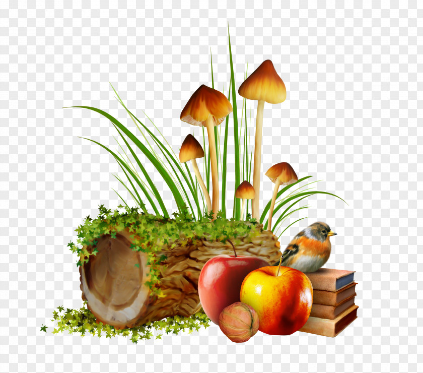 Mushroom Autumn Desktop Wallpaper Summer PNG