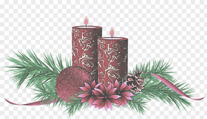 Plant Candle Holder Lighting Pink Tree Colorado Spruce PNG