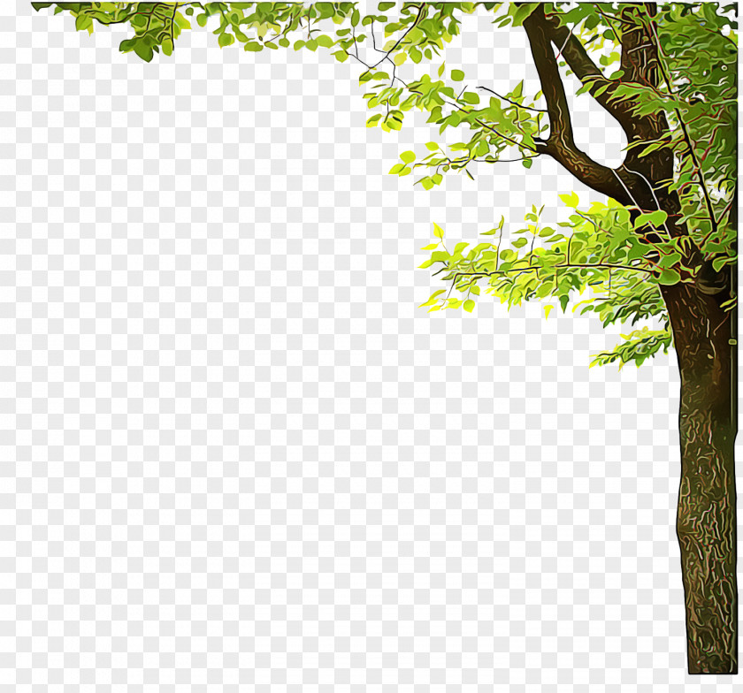 Trunk Twig Borders And Frames Tree Transparency Branch Bud PNG