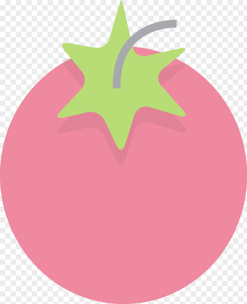 Vector Tomato Fruit Euclidean Vecteur PNG