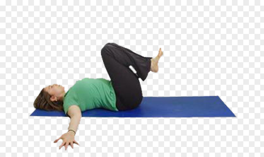 Woman Fitness U745cu4f3du5065u8eab Yoga Series Pilates Physical Exercise PNG