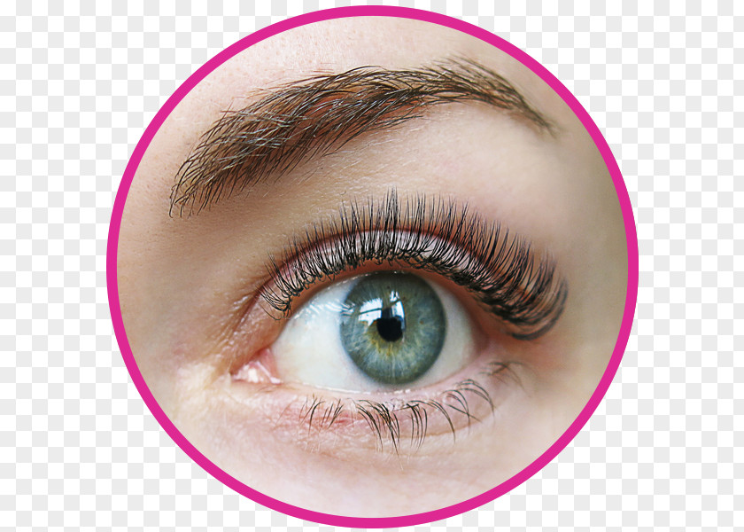 Bottom Lash Extensions Eyelash Eye Shadow Artificial Hair Integrations Beauty Parlour PNG