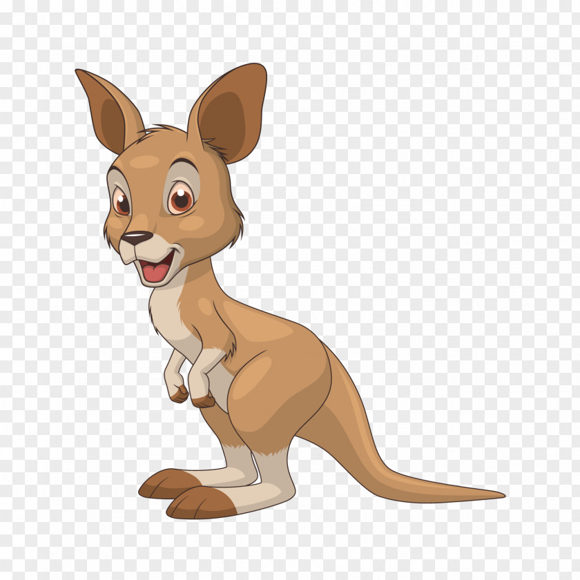 Kangaroo Vector Graphics Royalty-free Stock Illustration PNG
