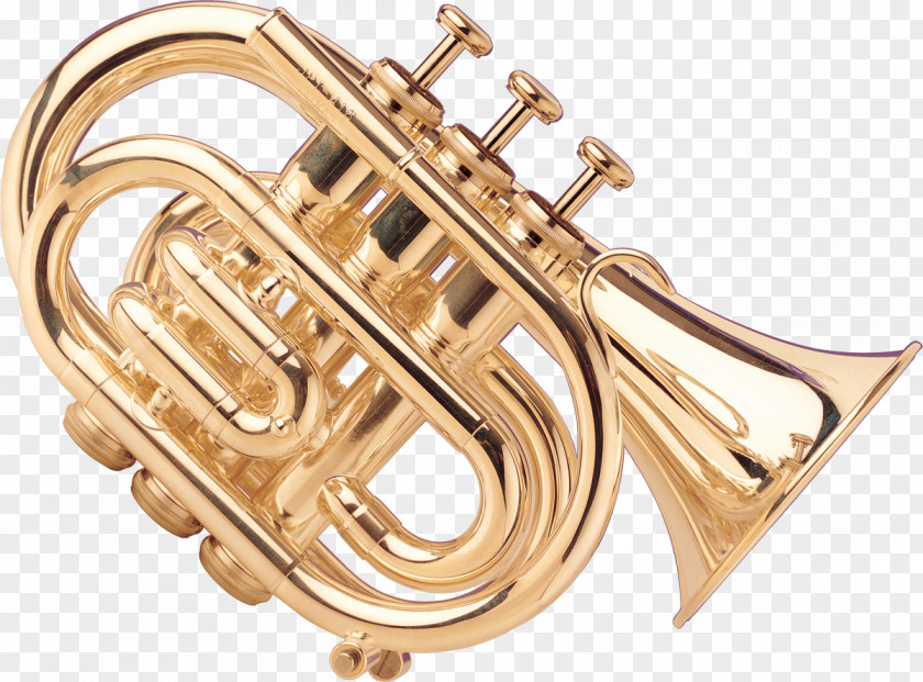 Musical Instruments Wind Instrument Saxophone Brass Trombone PNG