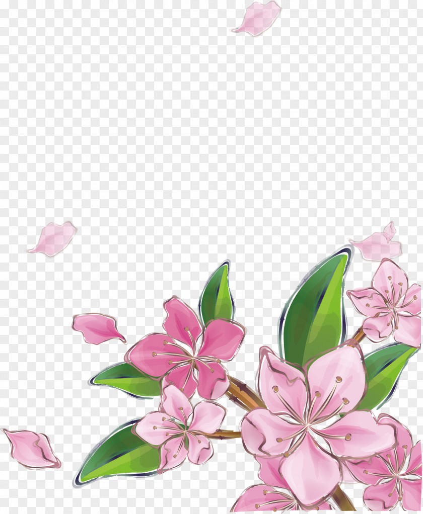 Pink Peach Blossom Vector PNG
