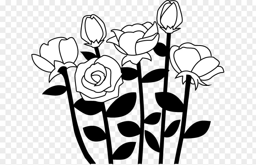Rose Floral Design Black And White Visual Arts PNG