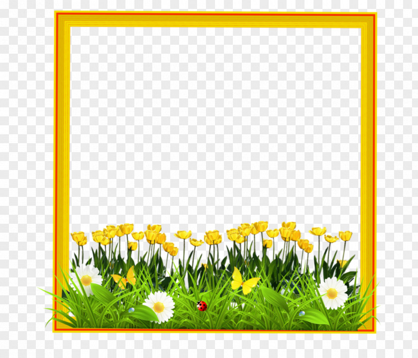 Design Common Sunflower Floral Meadow Cut Flowers PNG