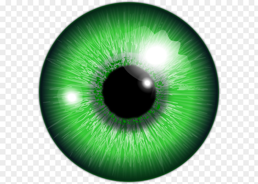 Eye Human Green Iris Color PNG