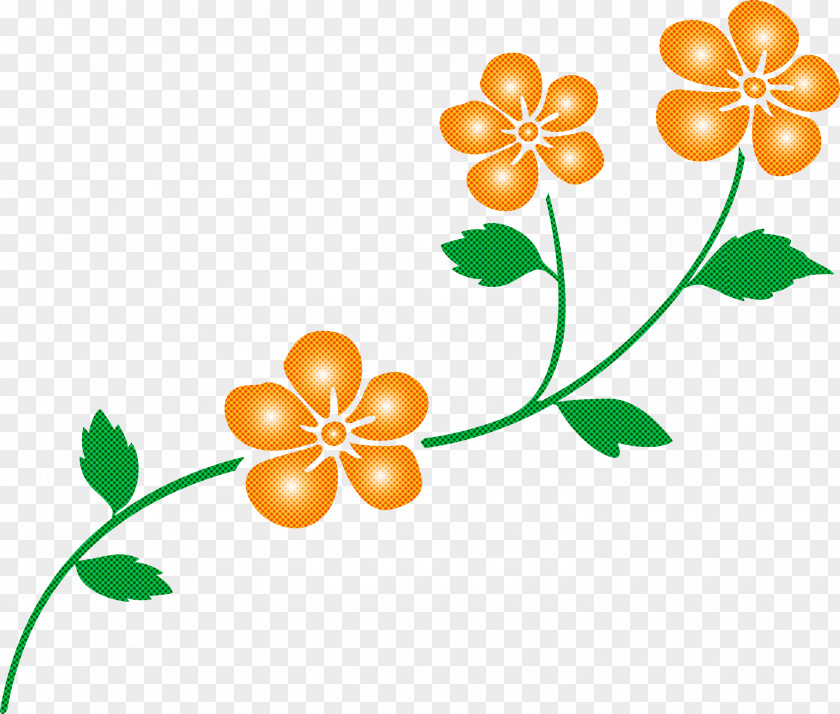 Flower Frame Decoration PNG